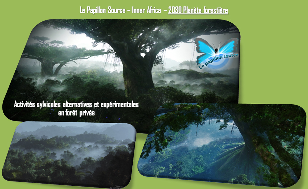 Papillon Models Papillon Models